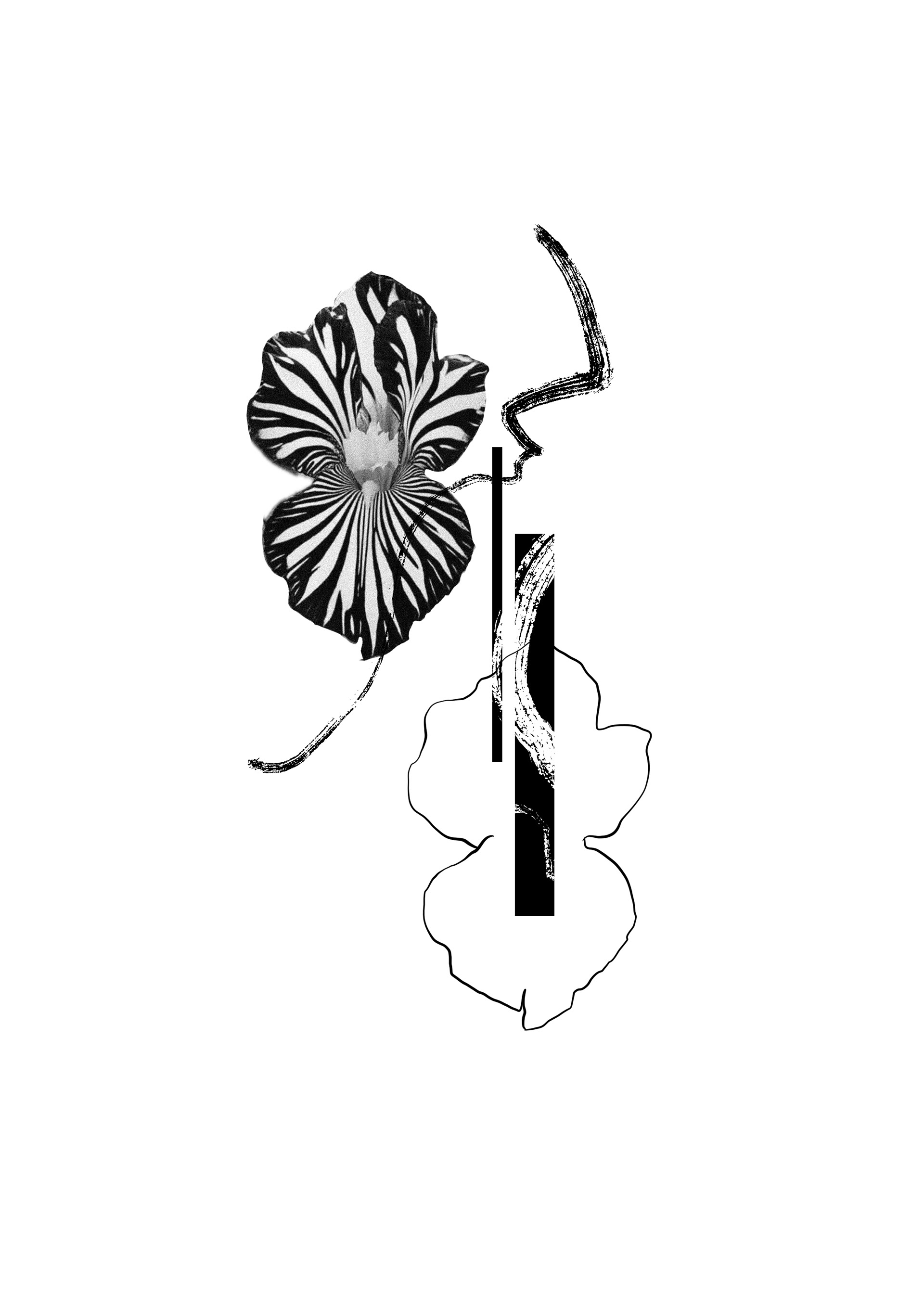 Fragile Bloom // mind 13 cm