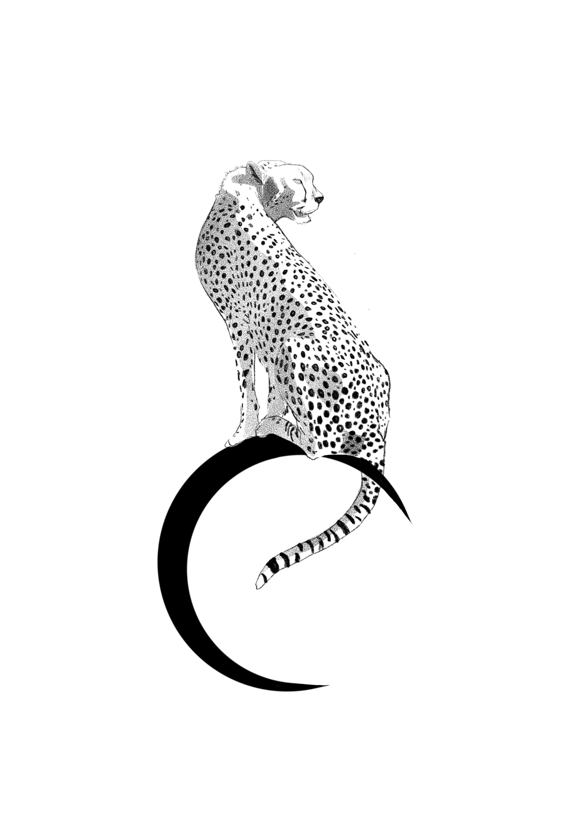 Cheetah // 15 cm