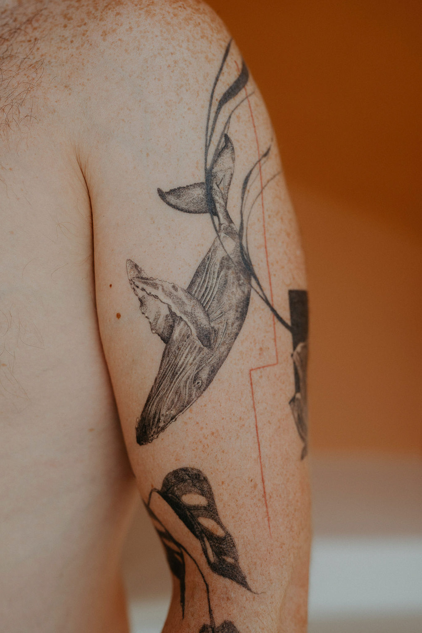 HEALED