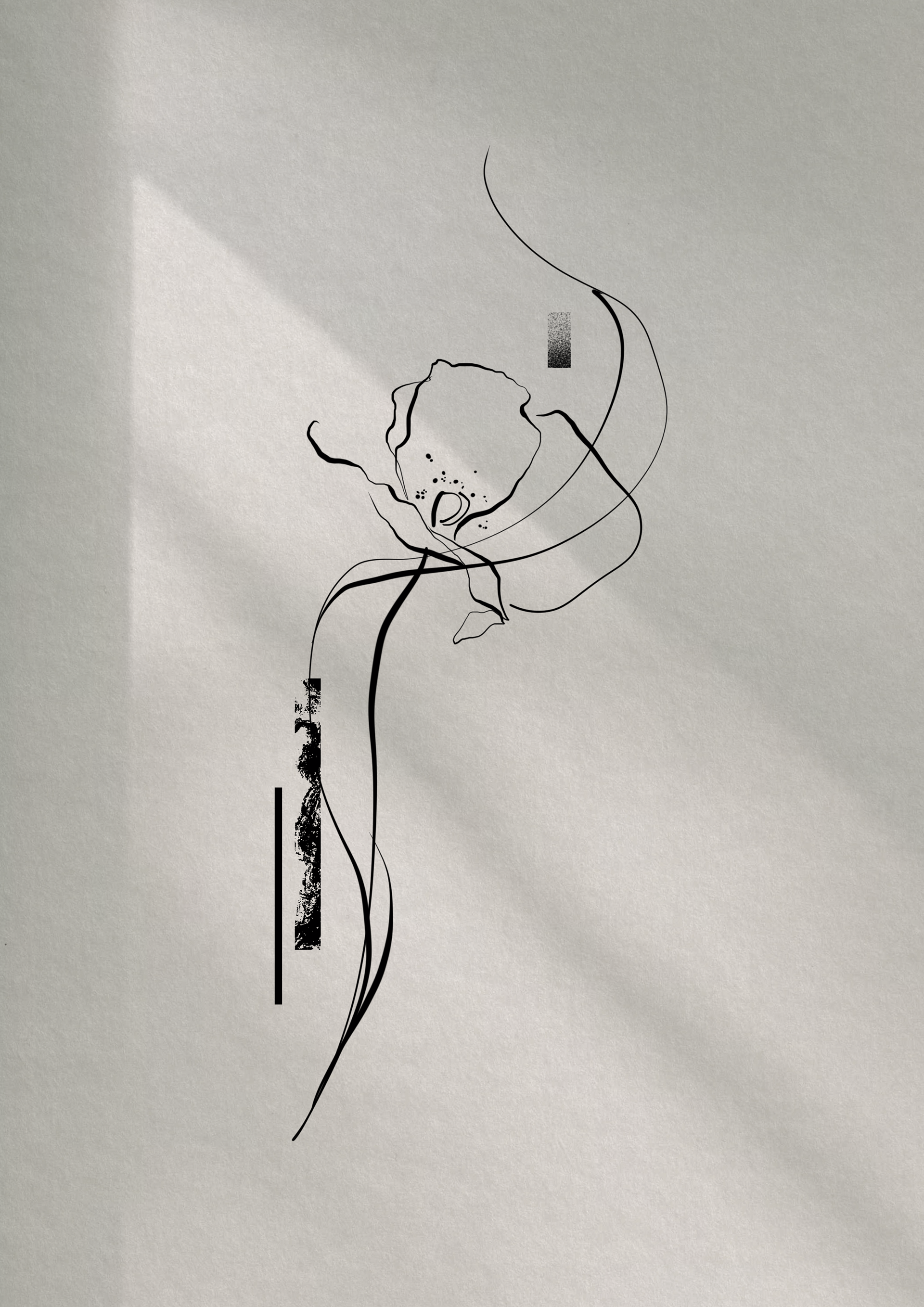 Mohnblume / mind. 13 cm 