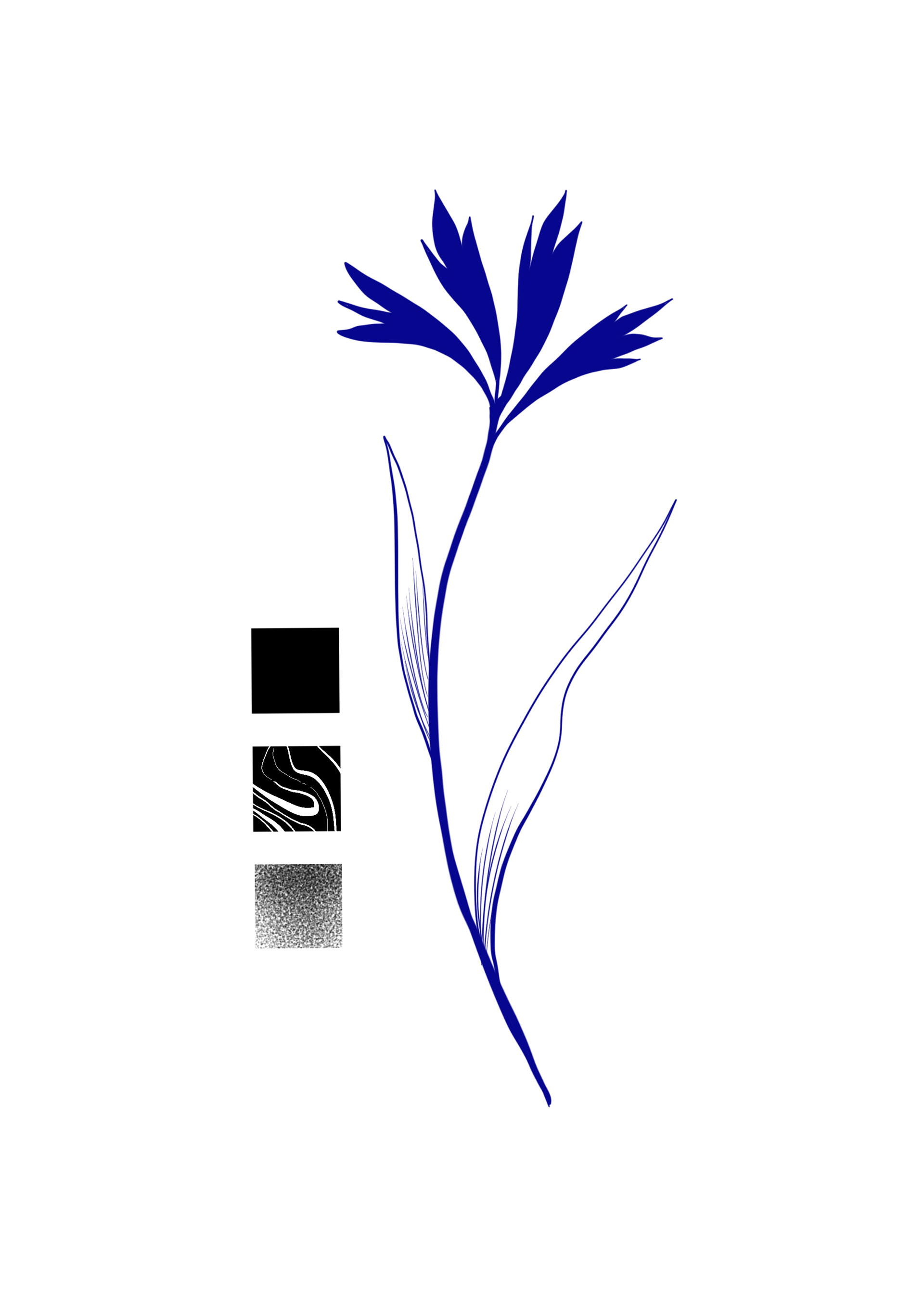 Cornflower / mind. 13 cm