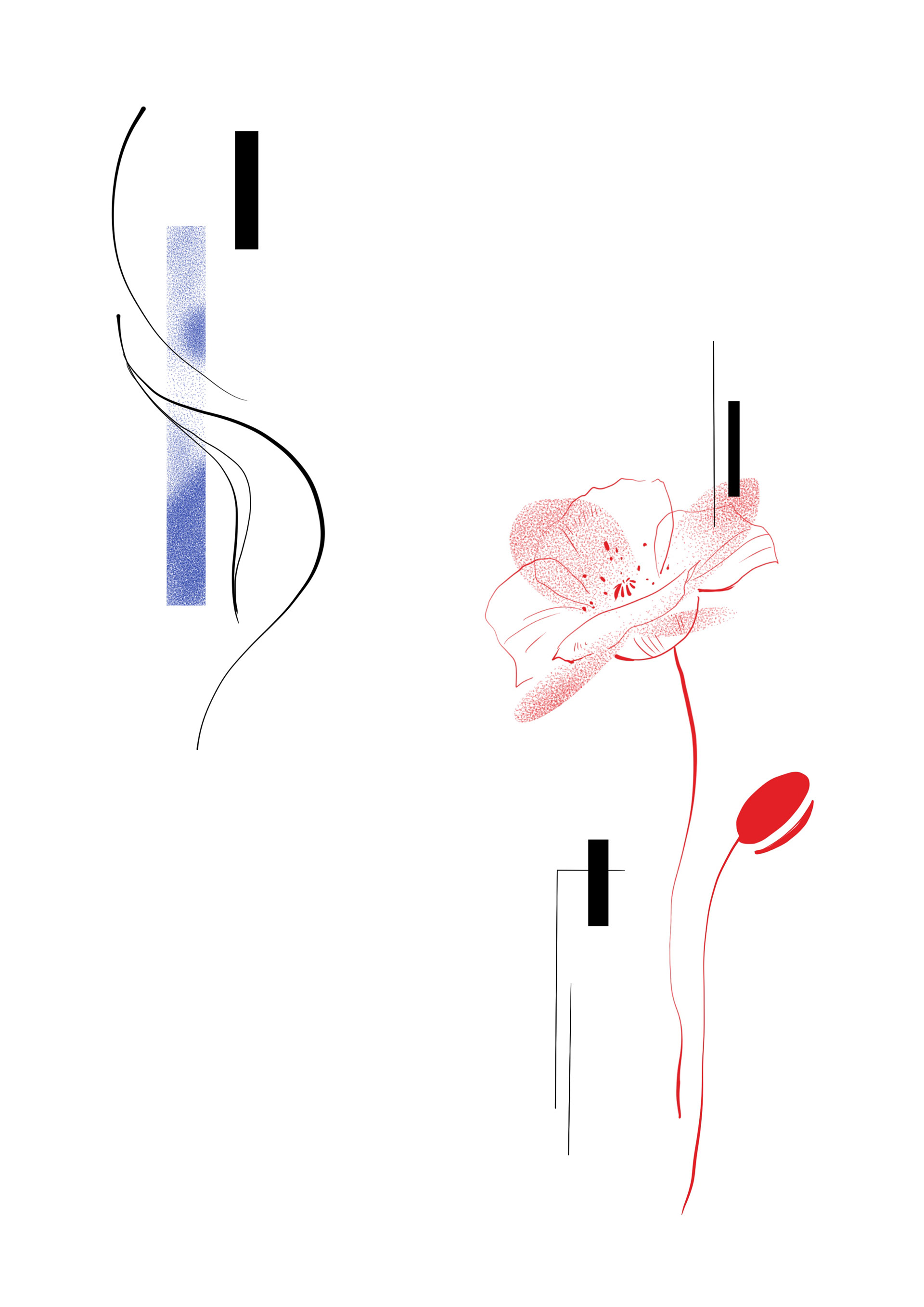 25 & 26 / mind. 13 & 15
