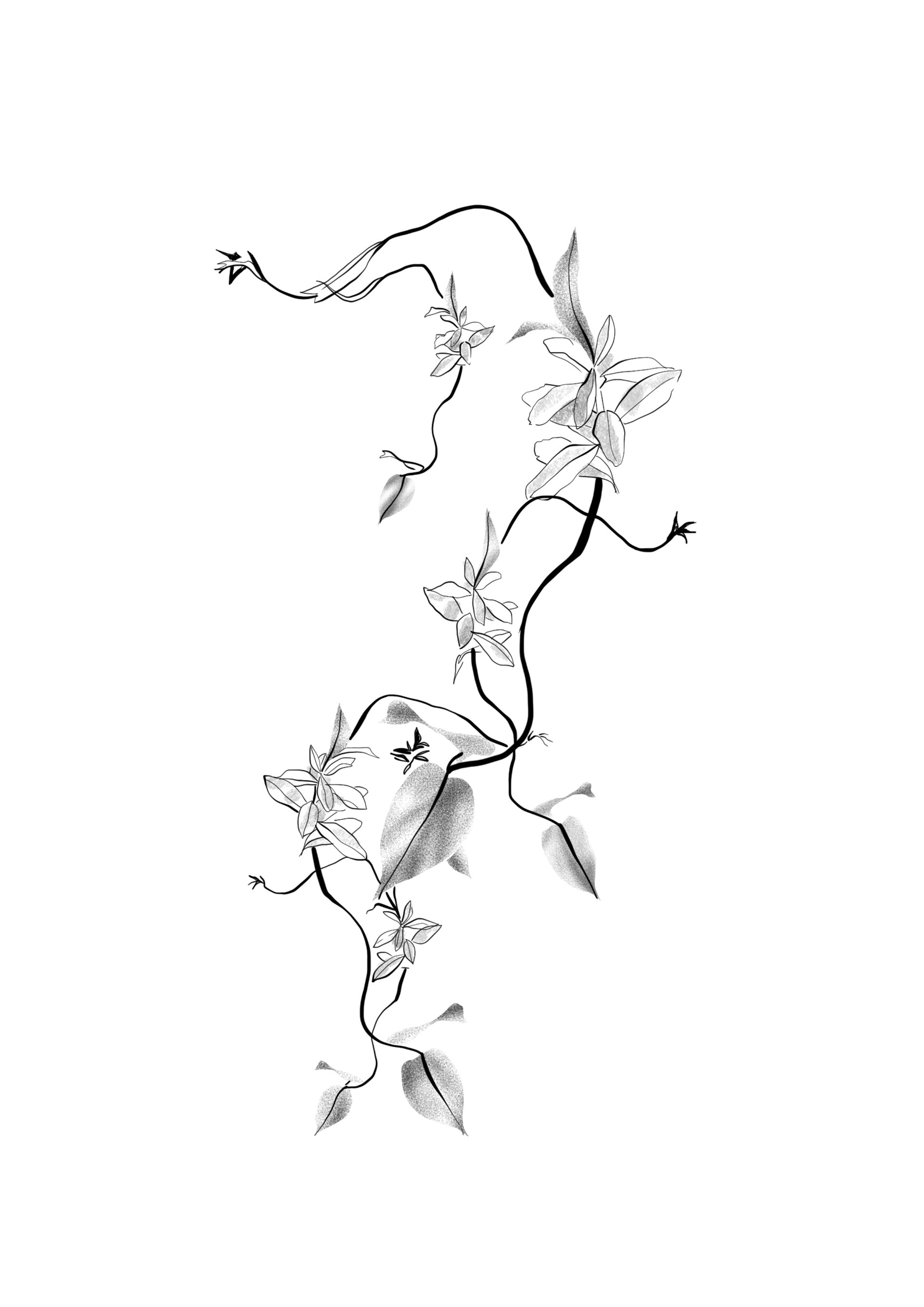 Grow through // mind. 18 cm