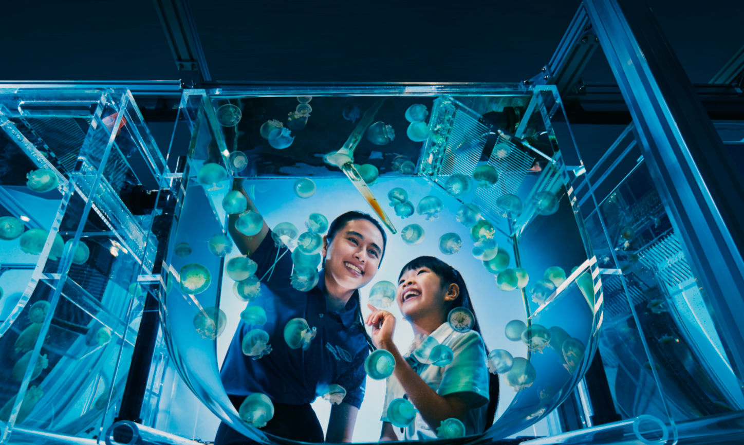 SINGAPORE OCEANARIUM 2025 CAMPAIGN