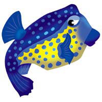 魚キャラ/photoshop