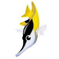 魚キャラ/photoshop