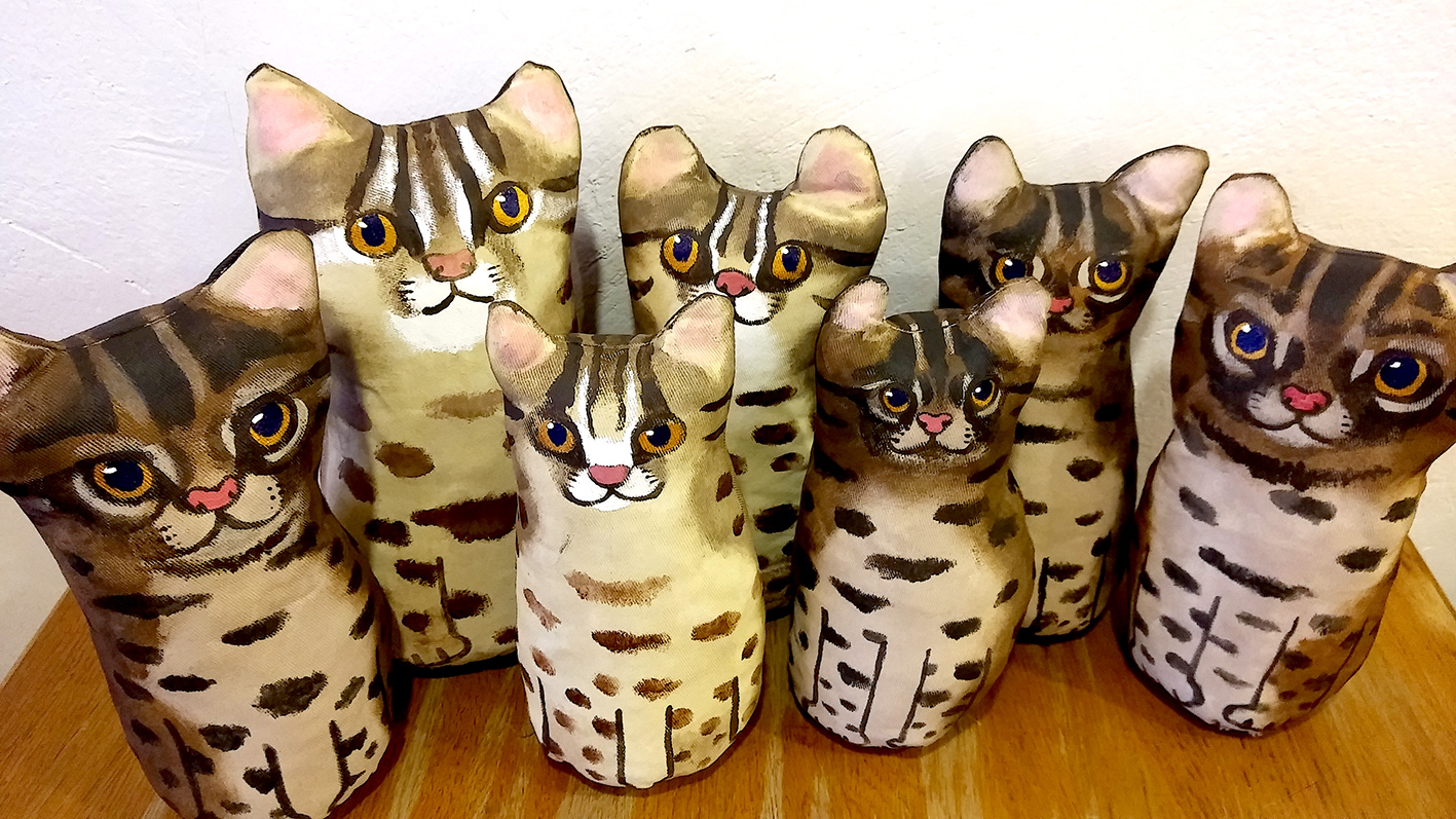 Wildcats イリオモテヤマネコ+ツシマヤマネコ