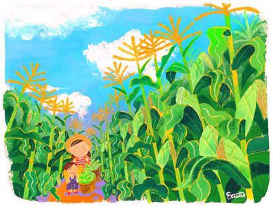 トウモロコシ畑/acrylic