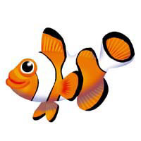 魚キャラ/photoshop