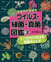 ビジュアル図鑑/ミネルヴァ書房/挿し絵