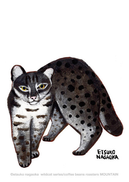 Iriomote wildcat