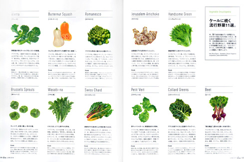 流行野菜イラスト/CASA BRUTUS