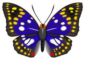 カレンダーのためのイラスト/photoshop