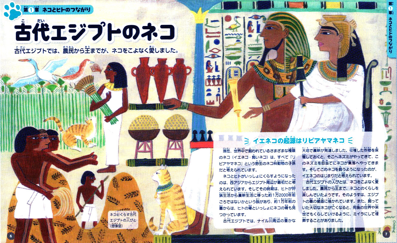 図鑑巻頭カラーillust/ミネルヴァ書房