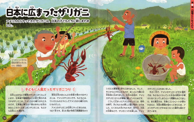 図鑑巻頭カラーillust/ミネルヴァ書房