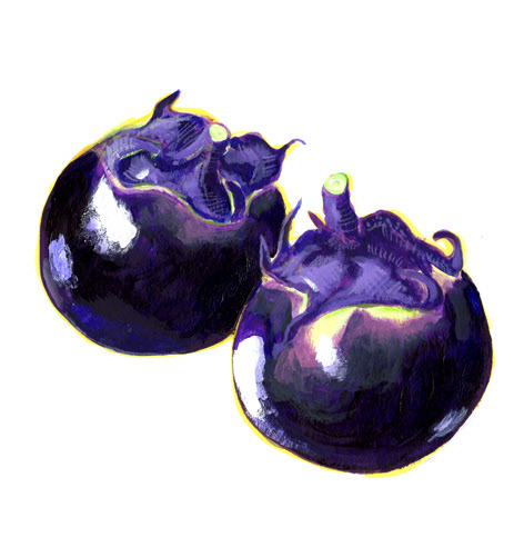 賀茂茄子・京野菜特集イラスト/Hanako