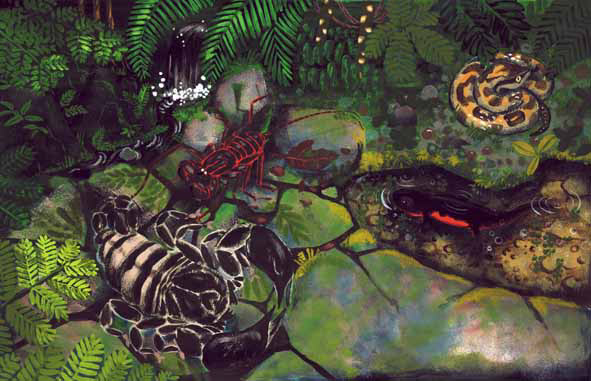 図鑑巻頭カラーillust/ミネルヴァ書房