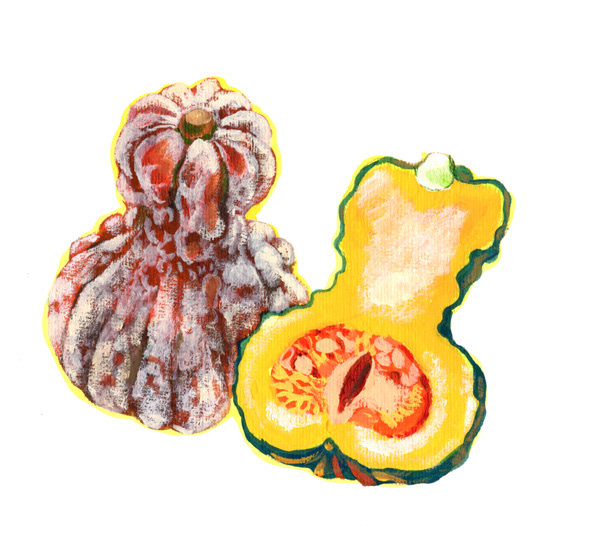 鹿ヶ谷かぼちゃ・京野菜のイラスト/Hanako