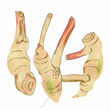 カー・アジアのご飯/Hanako