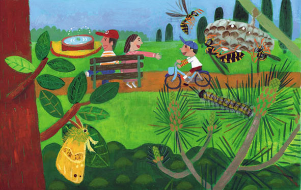 図鑑巻頭カラーillust/ミネルヴァ書房