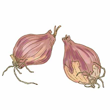 ホームデーン・アジアのご飯/Hanako