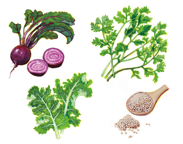 流行野菜/acrylic/Hanako