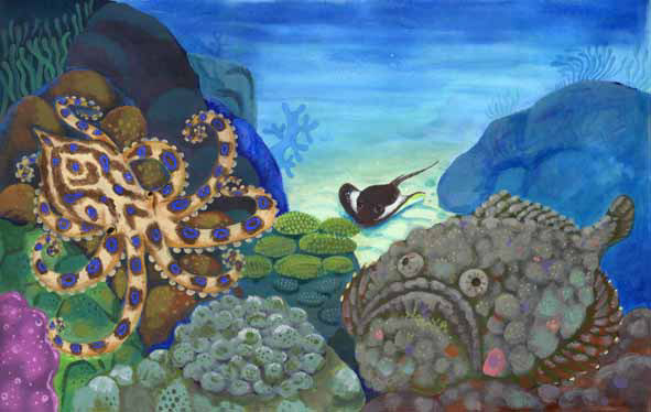 図鑑巻頭カラーillust/ミネルヴァ書房