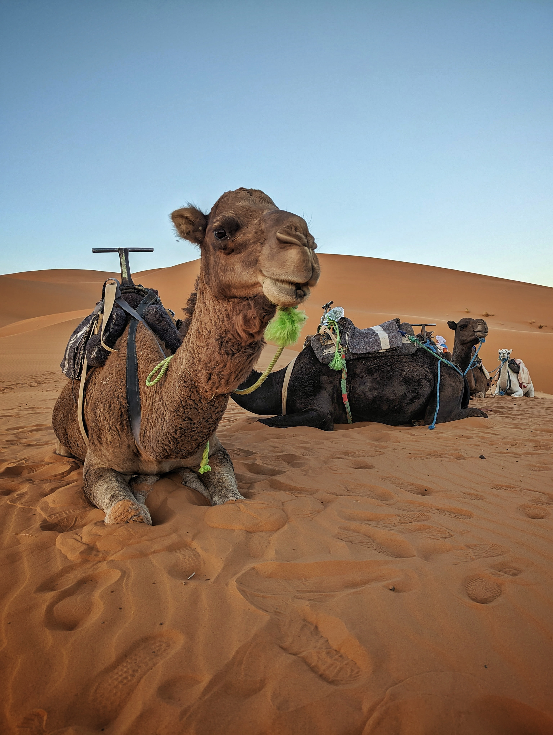 Merzouga, Maroc