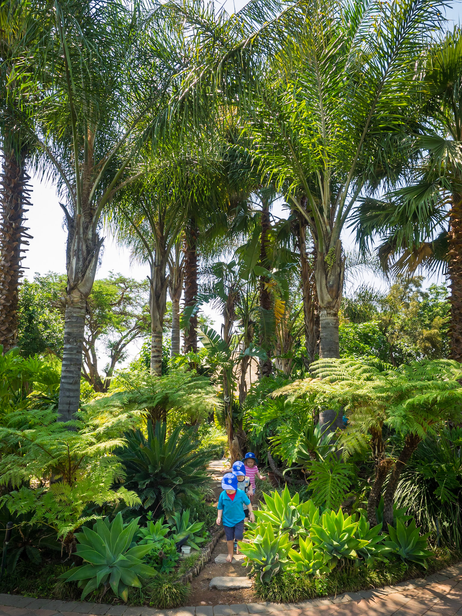 franz rabe | natural photography | naturalphoto.co.za