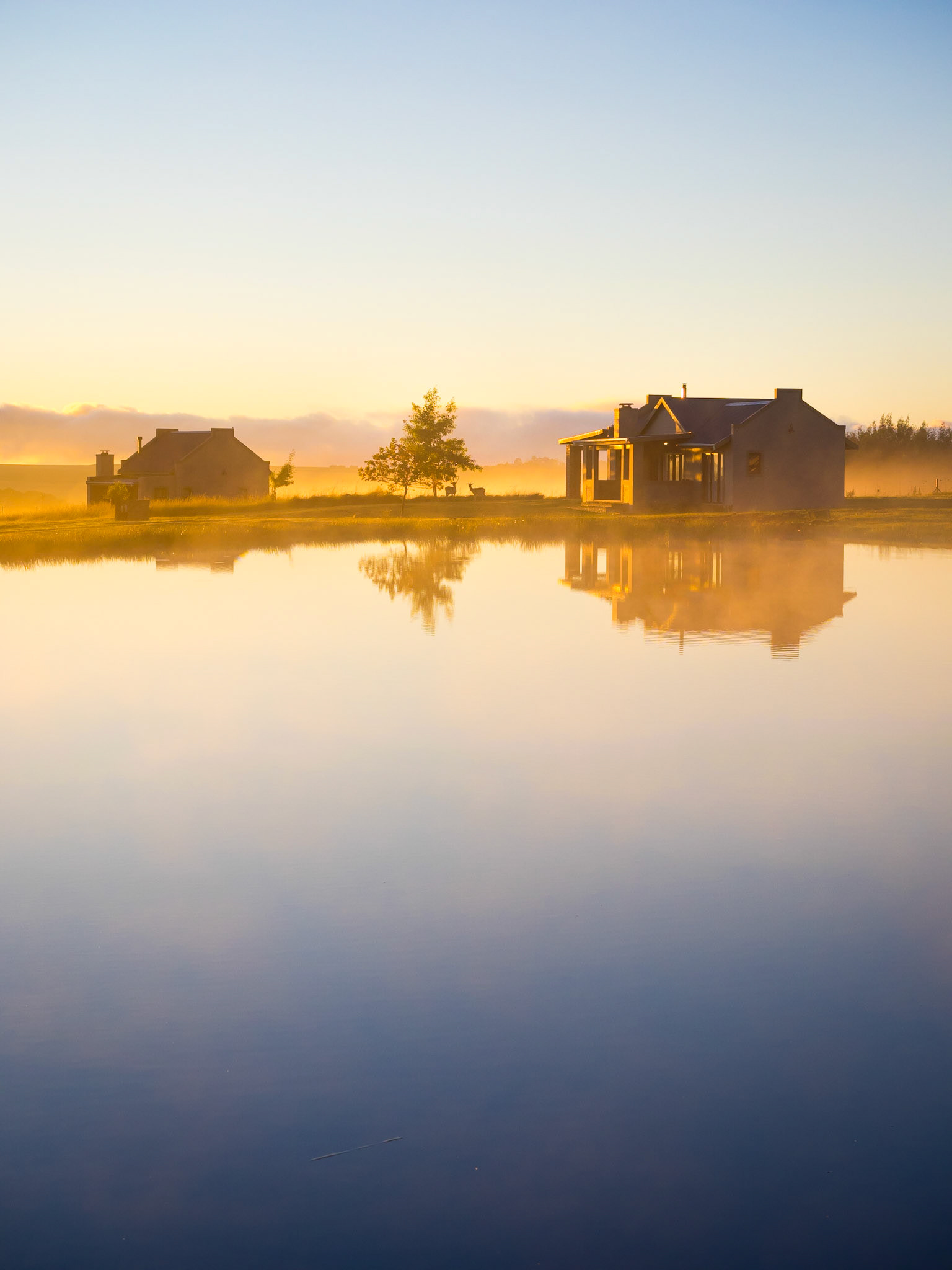 franz rabe | natural photography | naturalphoto.co.za