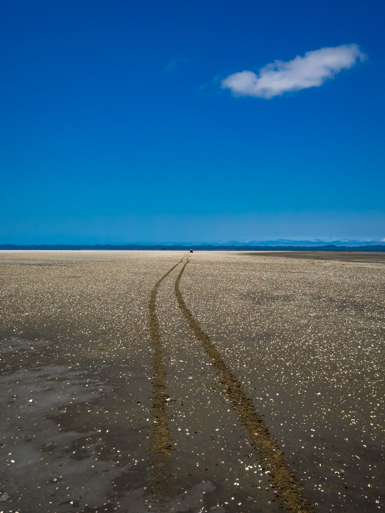 franz rabe | natural photography | naturalphoto.co.za