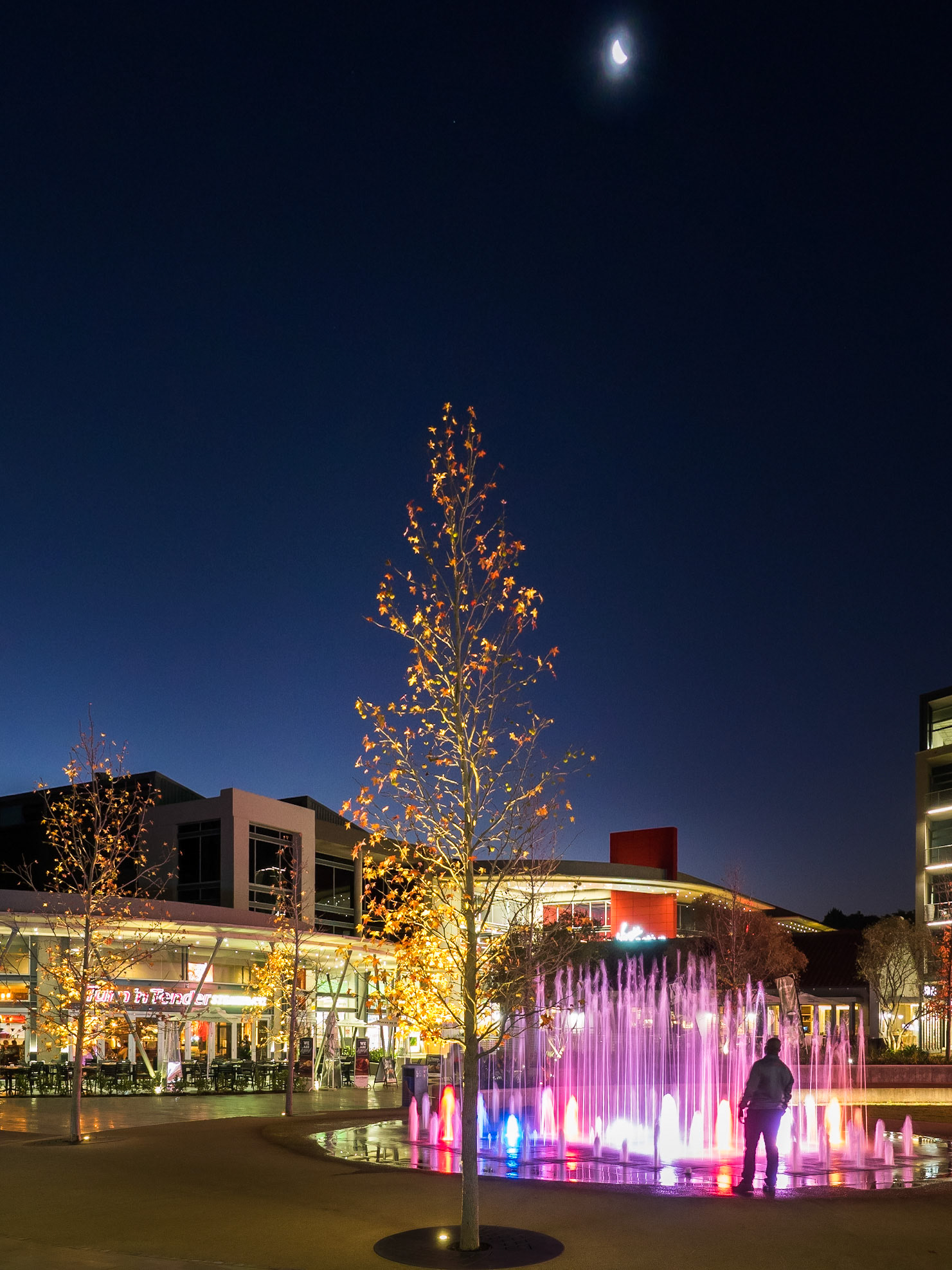 franz rabe | natural photography | naturalphoto.co.za