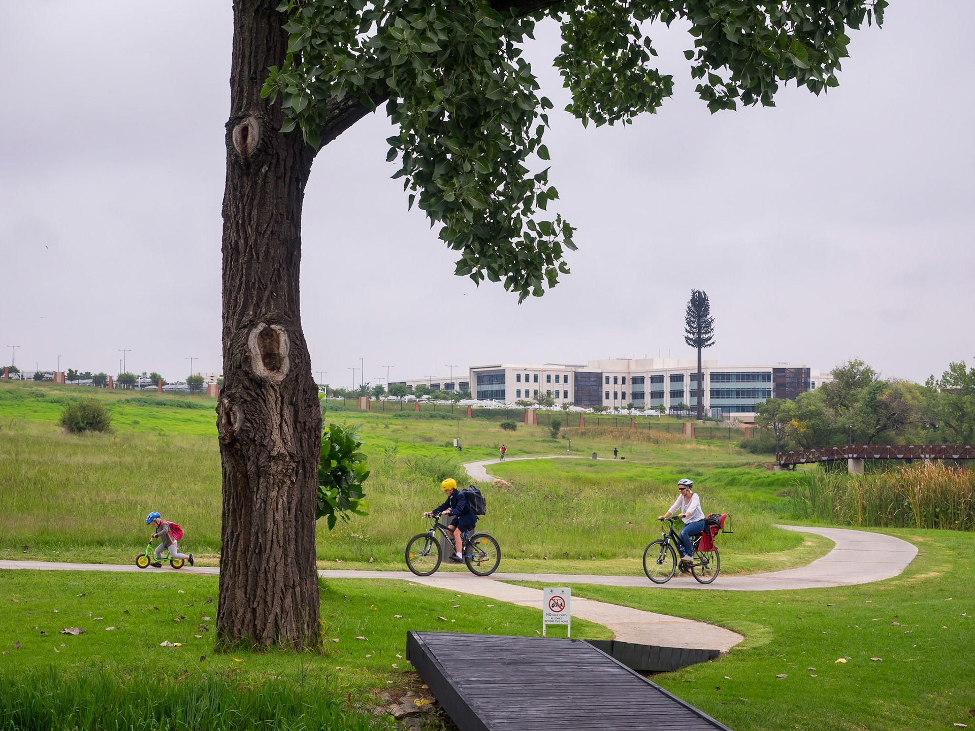 franz rabe | natural photography | naturalphoto.co.za