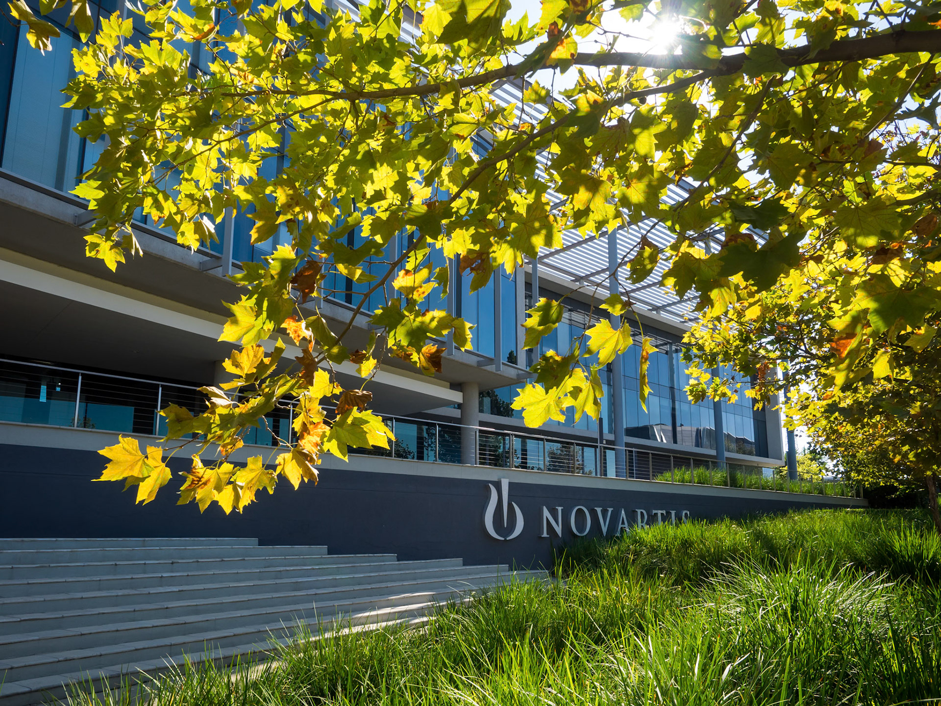 franz rabe | natural photography | naturalphoto.co.za