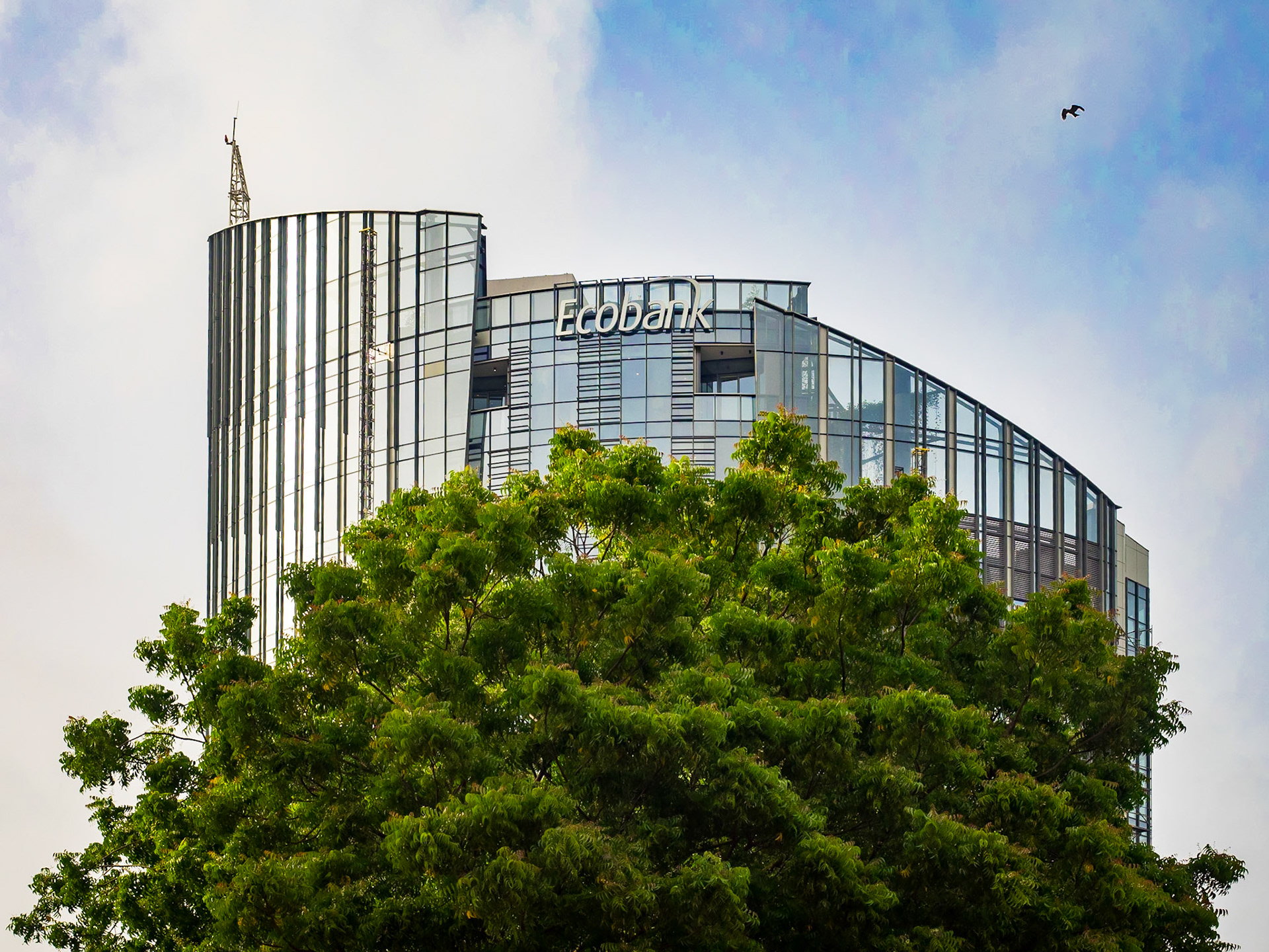 franz rabe | natural photography | naturalphoto.co.za