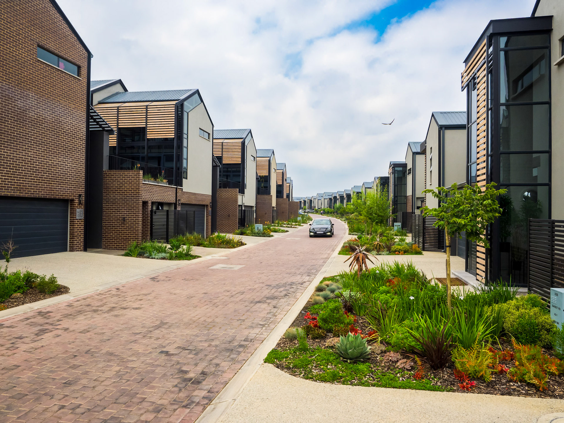 franz rabe | natural photography | naturalphoto.co.za