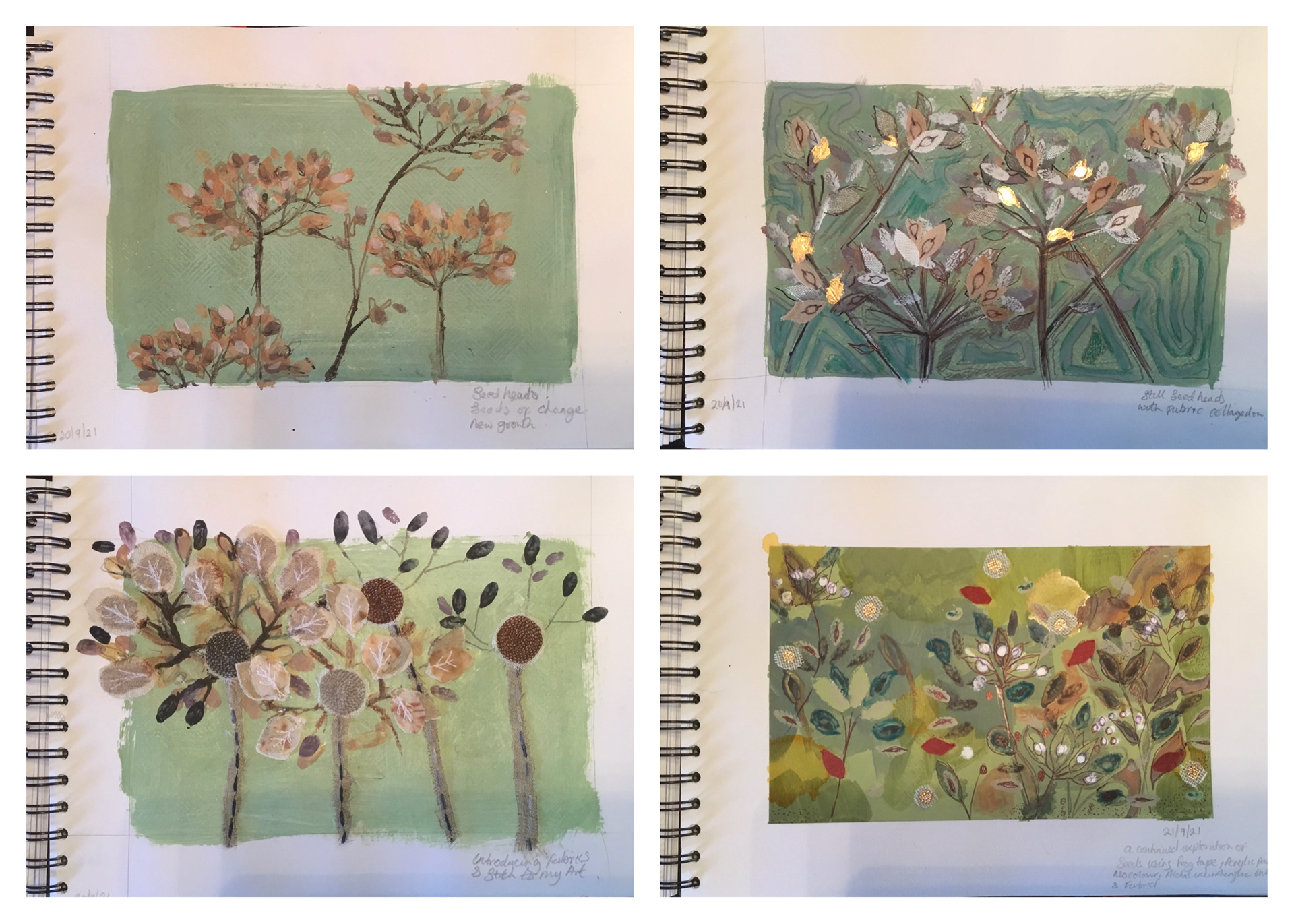 Seed head Sketch bookwork