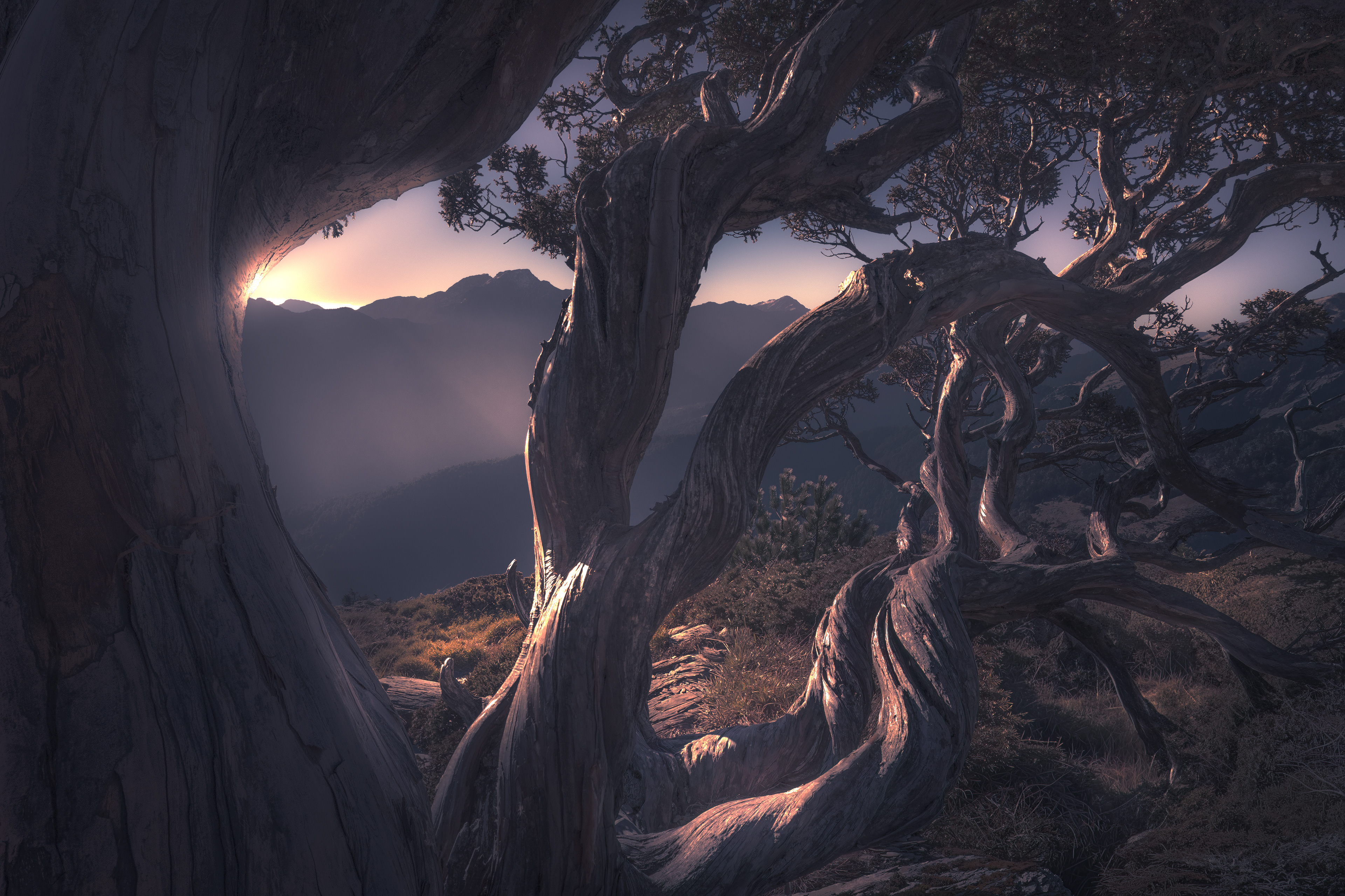 Mt. Hehuan North Peak, Taiwan (2024)