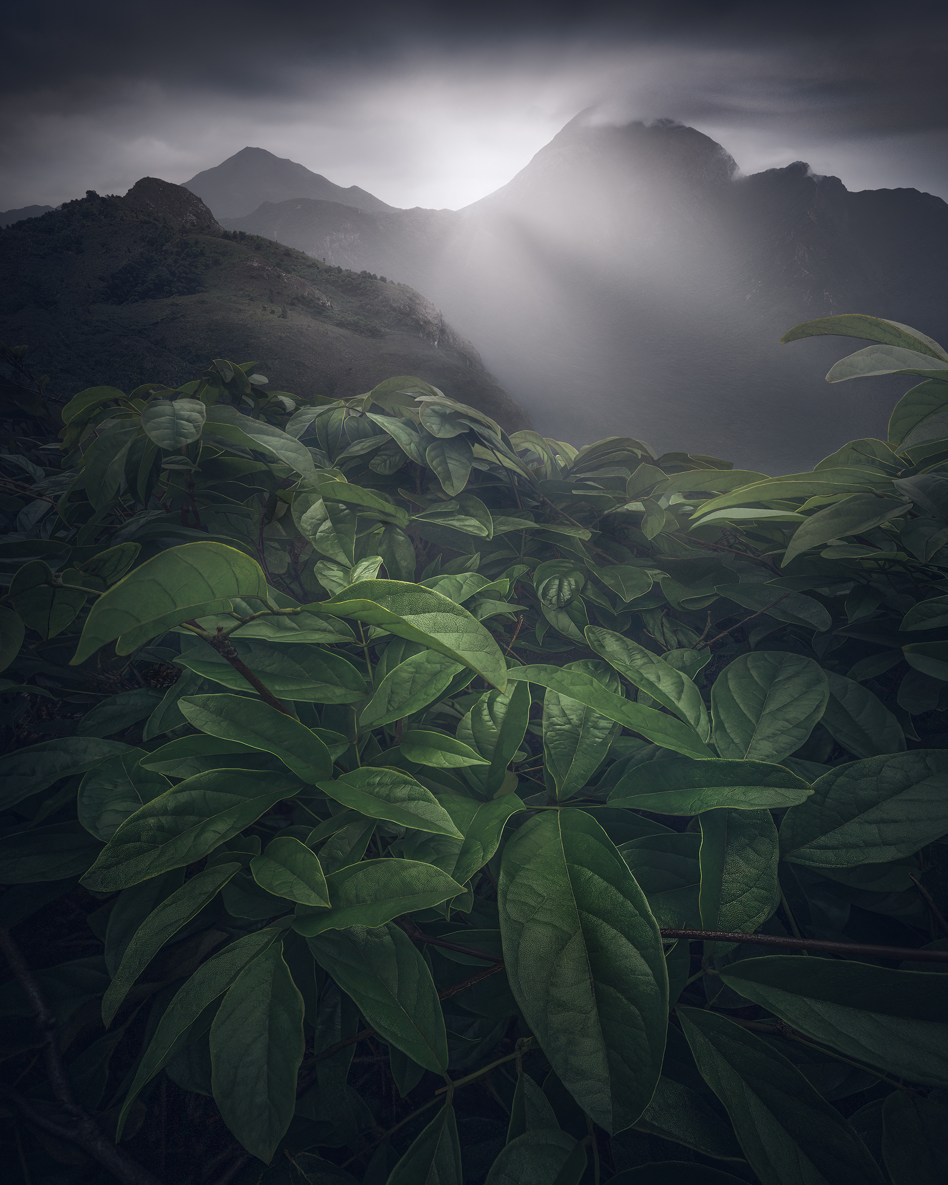 Lantau Peak, Hong Kong (2023)