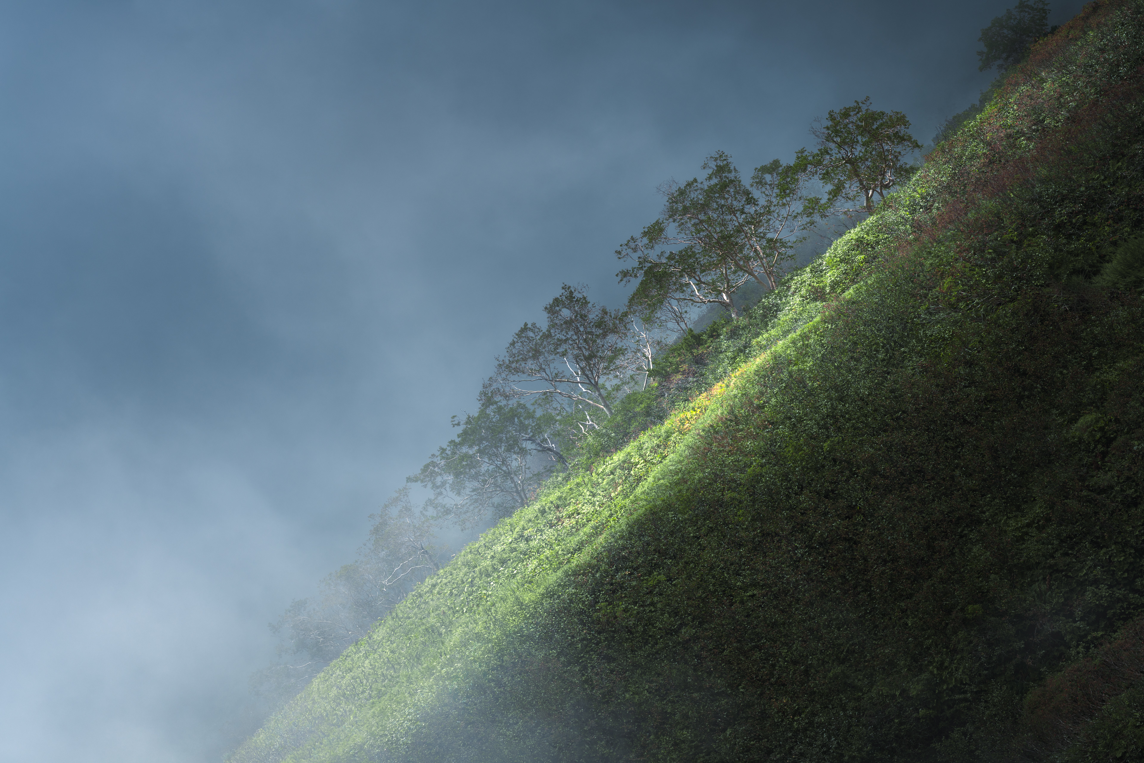 Gifu Prefecture, Japan (2024)