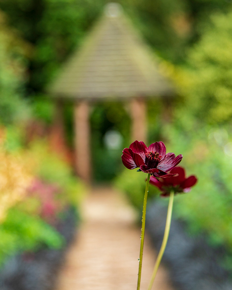 York Gate Garden, Leeds
