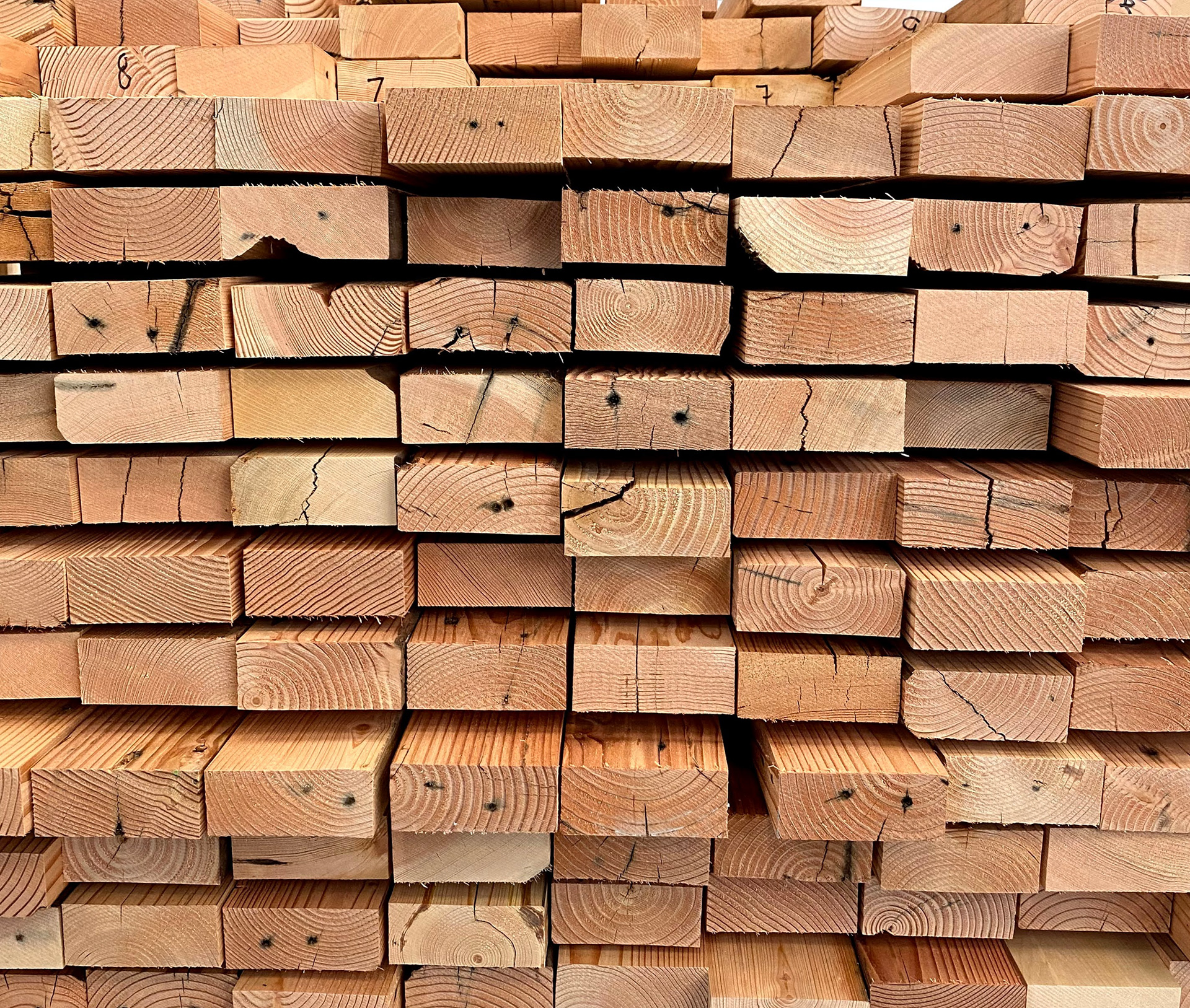 We sourced our 2x4s from Unbuilders, a local demolition company. Imperfections such as nail marks, rust, cracks, and mold are present in these pieces.