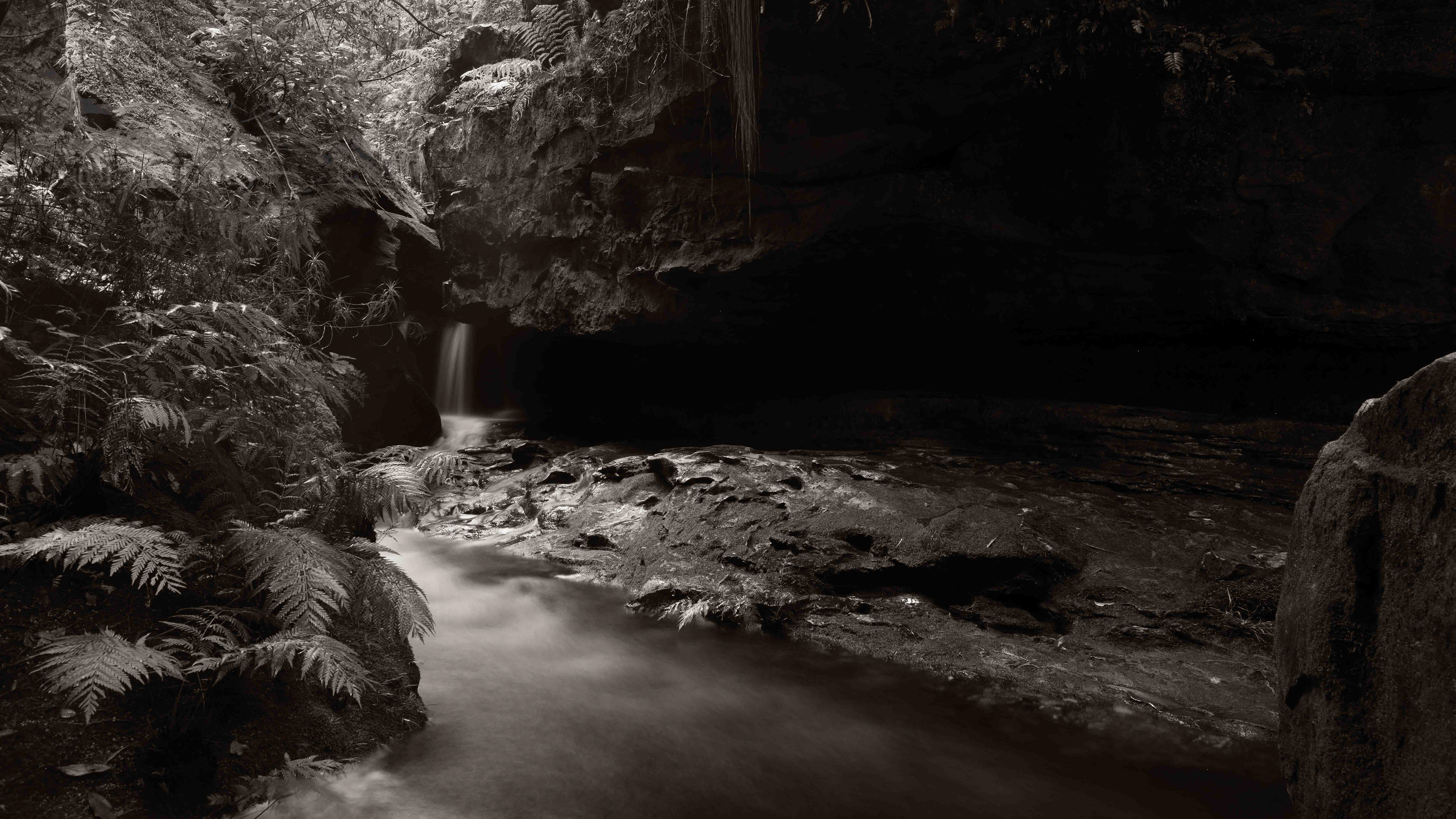 Deep in the Grand Canyon, Blue Mountains, NSW