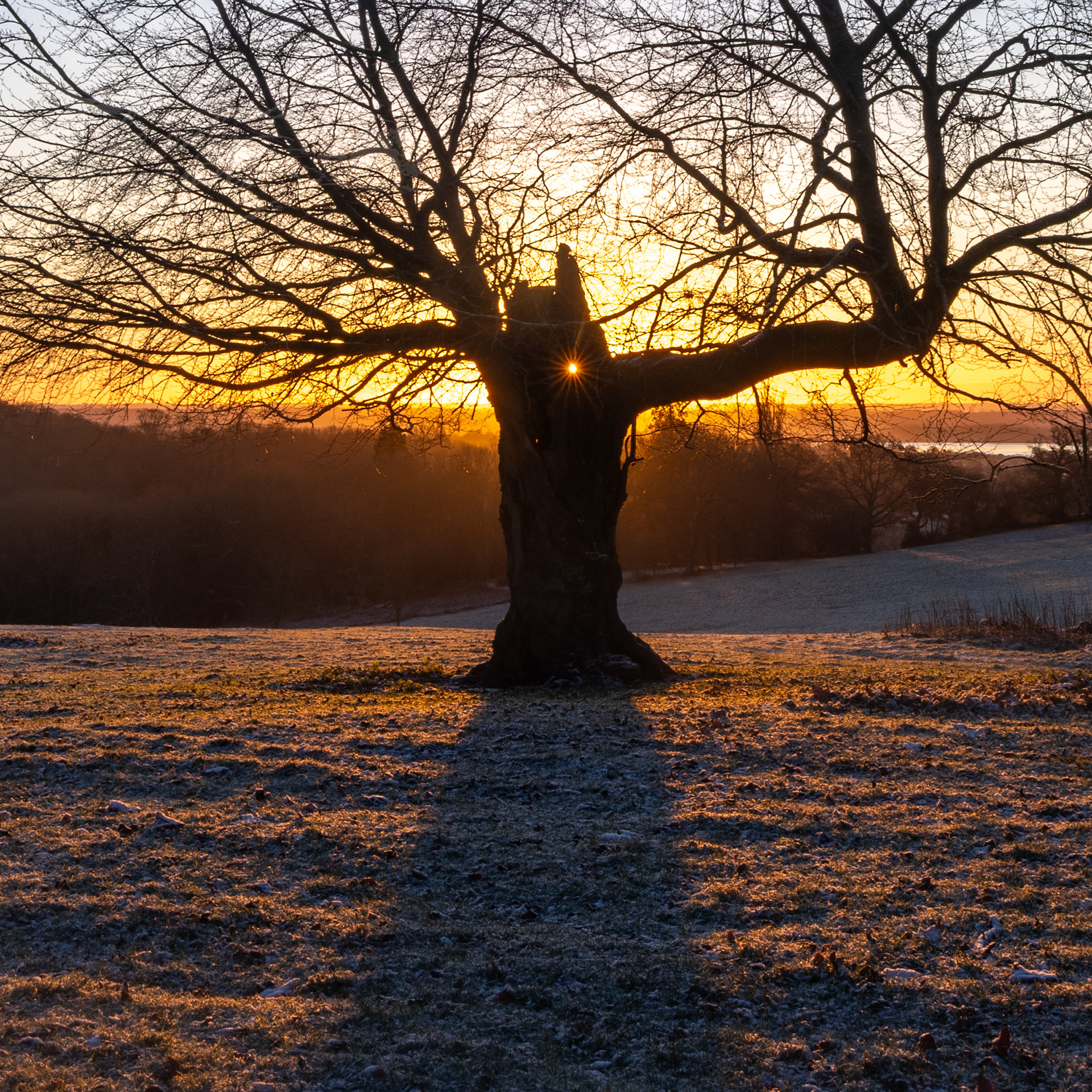 Piercefield Park, Chepstow