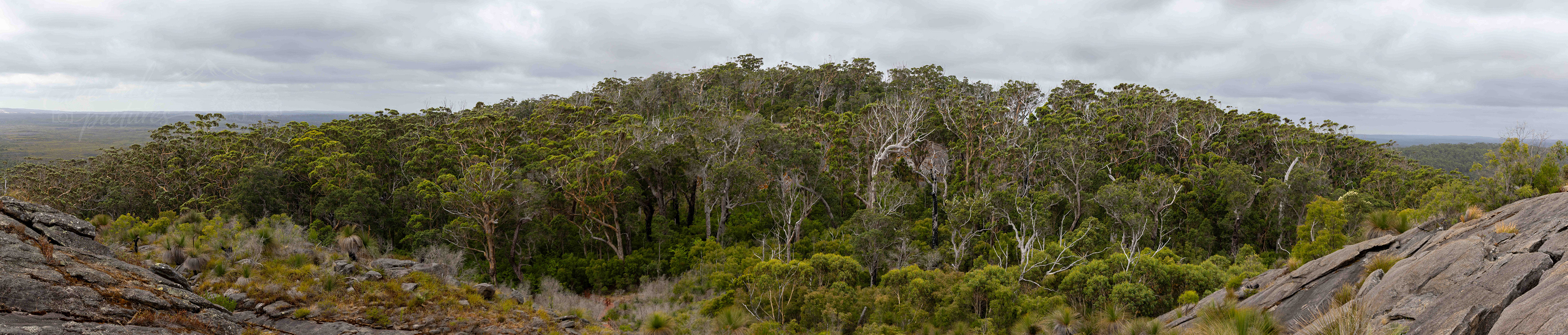 D'Entrecasteaux NP from Mount Chudalup, WA