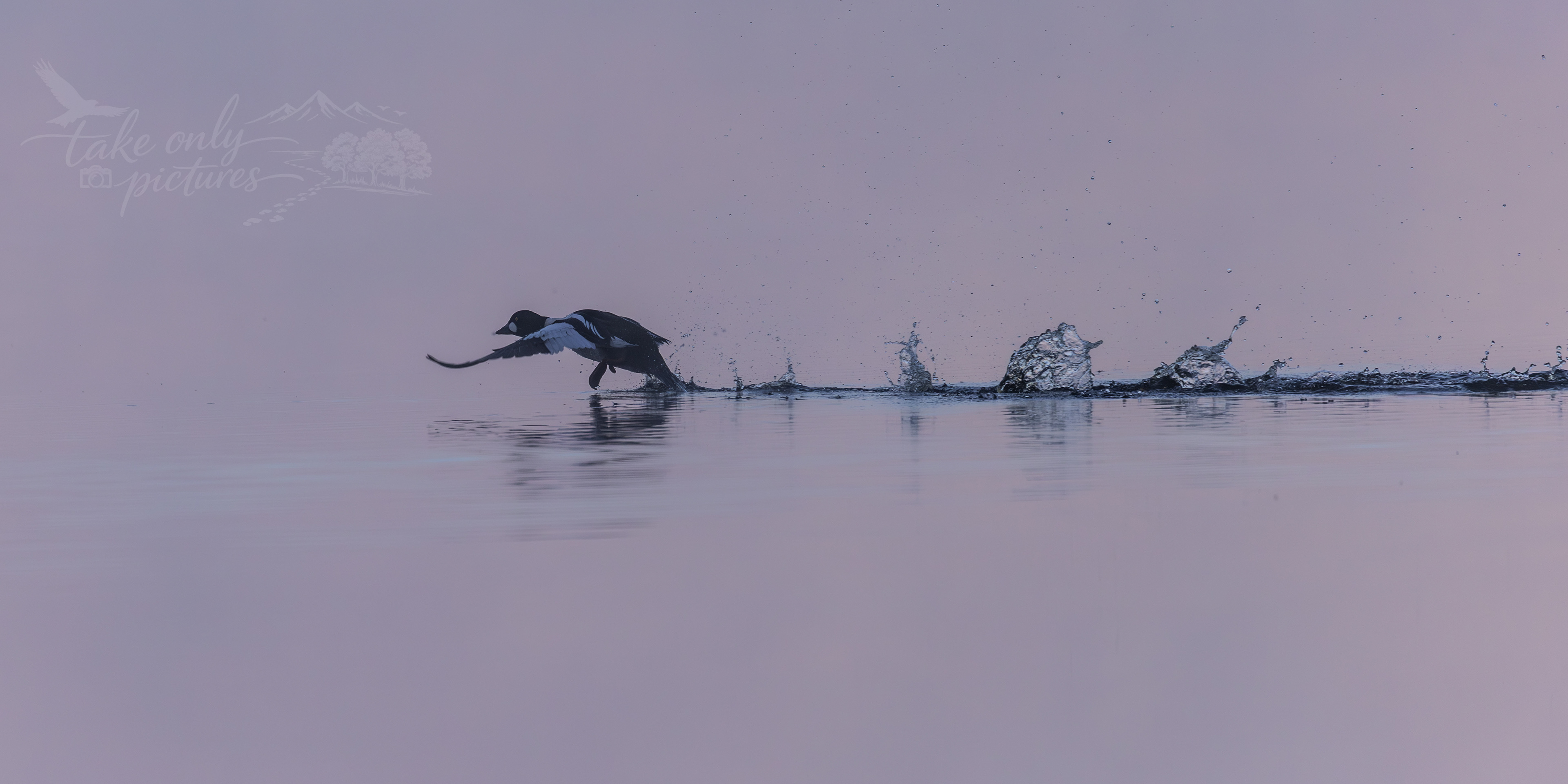 Taking off!
