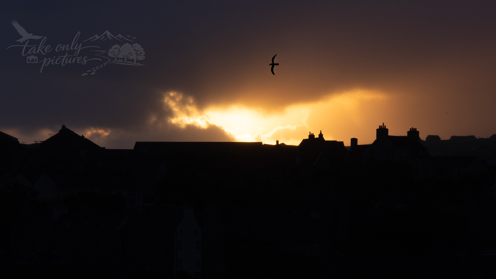Arriving in Stromenss, Orkney