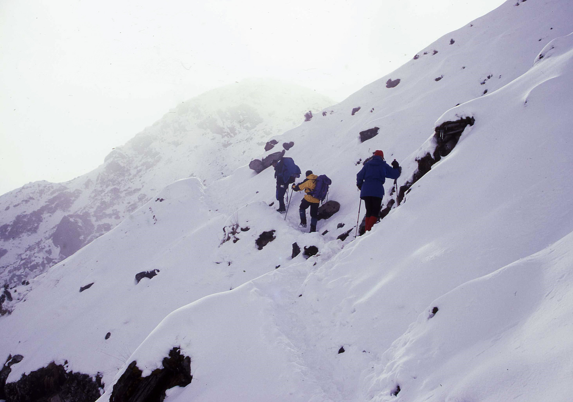 Trading back through recent snow
