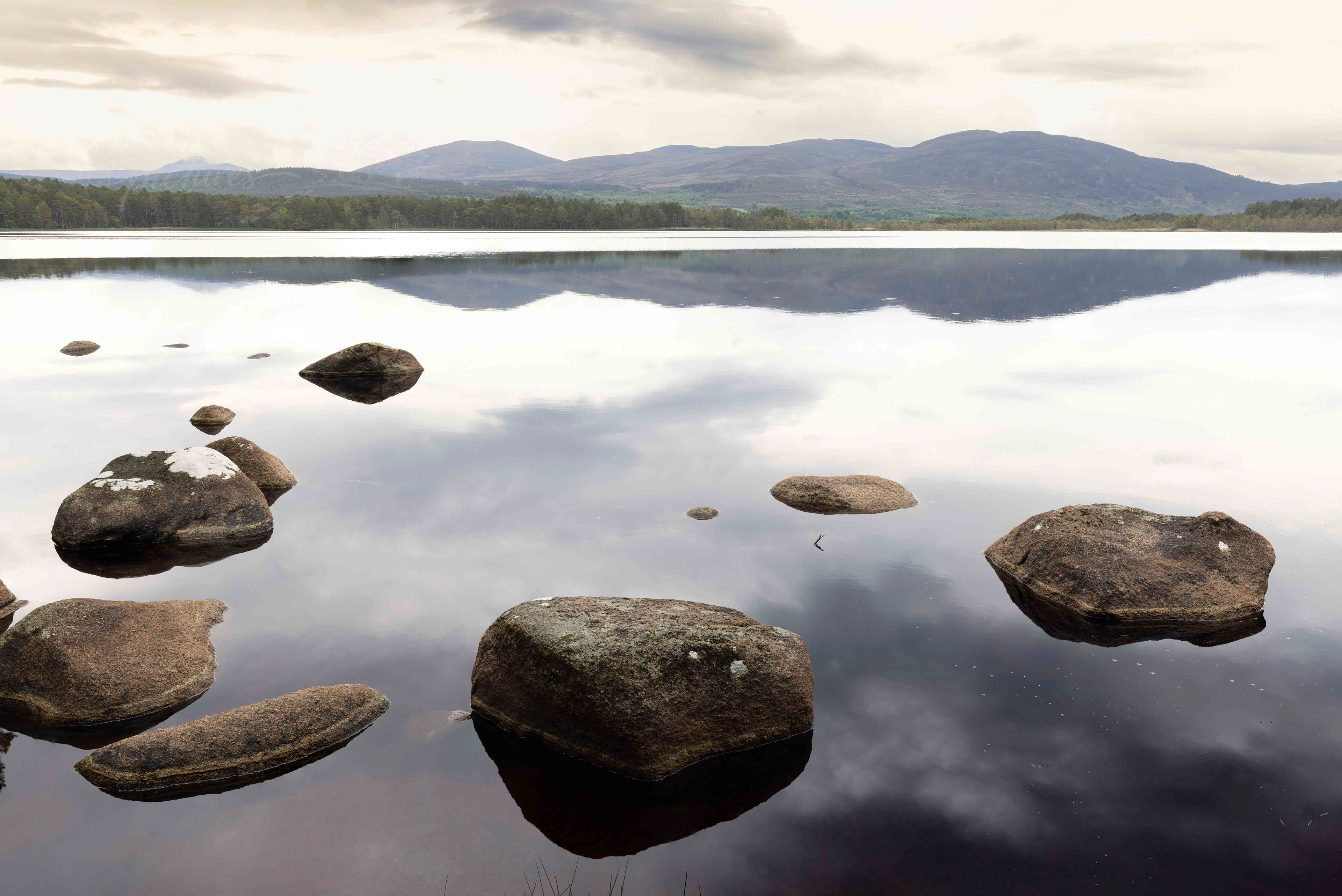 Loch Garten