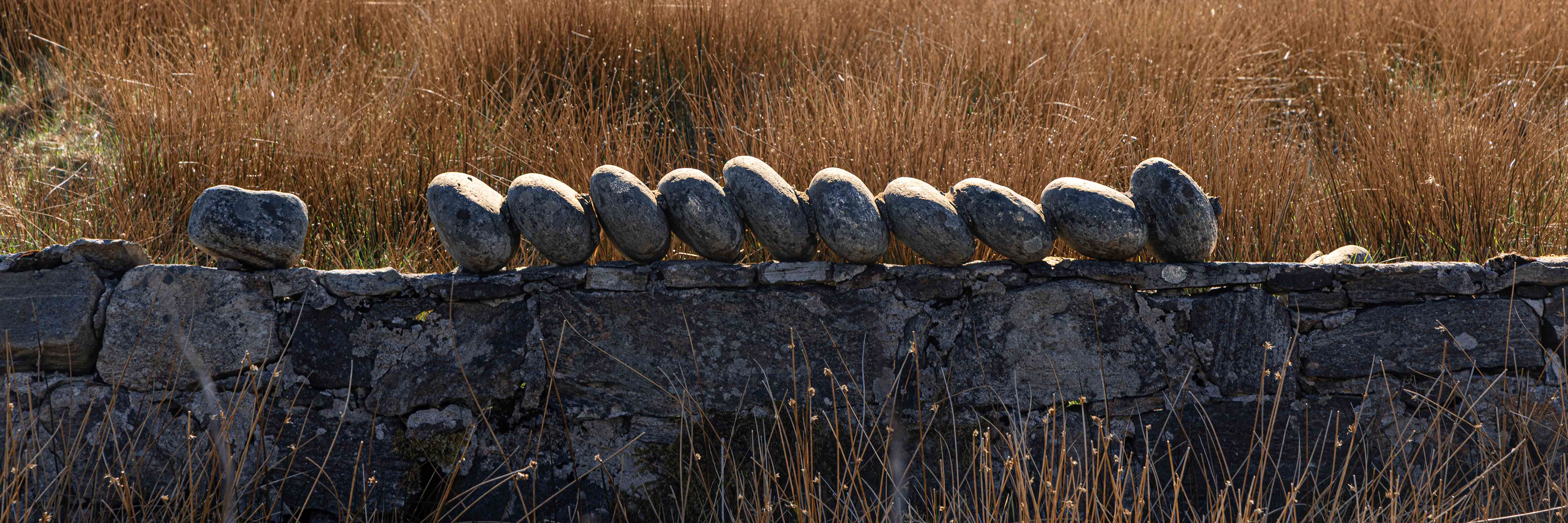Rocks on a wall